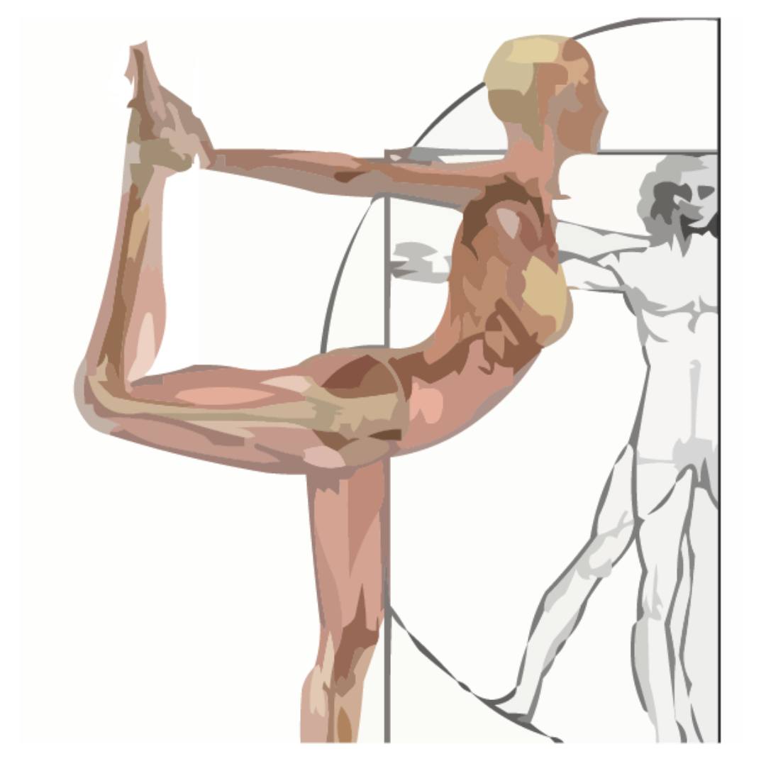 fisioterapia albacete blume villamalea